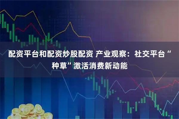 配资平台和配资炒股配资 产业观察：社交平台“种草”激活消费新动能